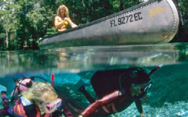 ginniesprings_A.jpg.webp