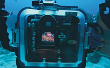 filmvdigital_A.jpg.webp