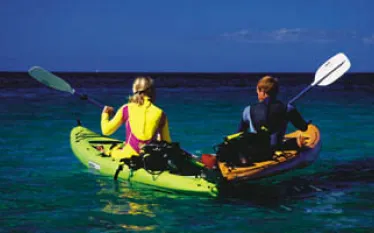 TI__kayakdiving_.jpg.webp