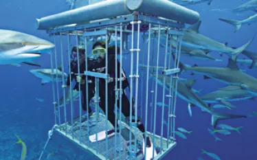 TR_bahamas_A.jpg.webp