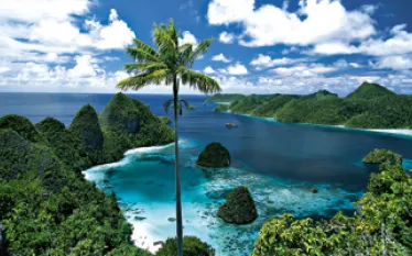 _indonesia_A.jpg.webp
