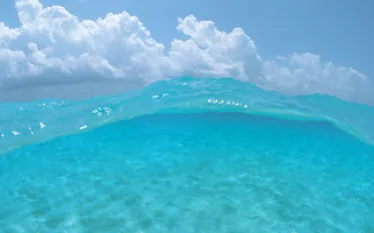 _vis_.jpg.webp