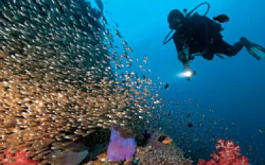 _travel_thailand_.jpg.webp