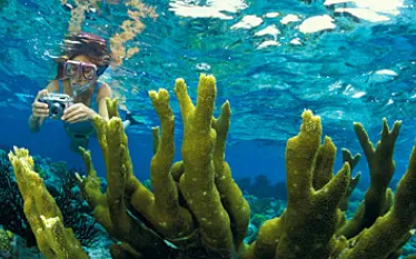 _TF_bonaire.jpg.webp