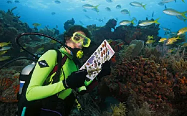 _fishwatching_.jpg.webp