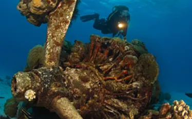 _dive_log.jpg.webp