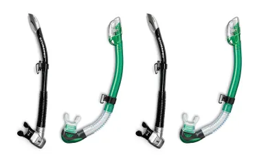 -gear-guide-snorkels-teaser_x.jpg.webp
