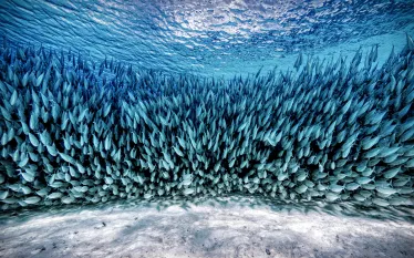 -img__scubadivingmagazine.septemberoctober.jpg.webp