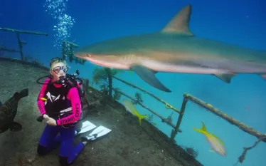 _scuba_diving_ray_of_hope_frazier_nivens_aa_.jpg.webp