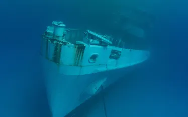 Kittiwake_Grand_Cayman_.jpg.webp