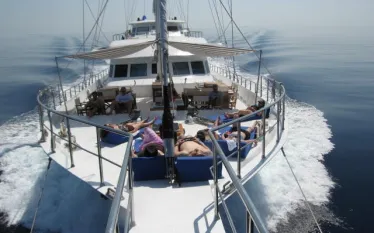 MA_bow_sunbathers.JPG.webp