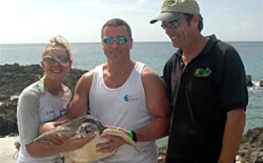 NYCU__turtle_release.jpg.webp