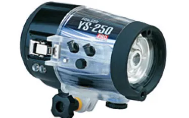 NYCU_seaandsea_yspro.jpg.webp