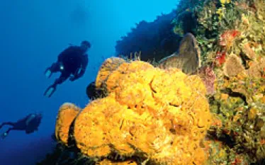 TR__cozumel_.jpg.webp