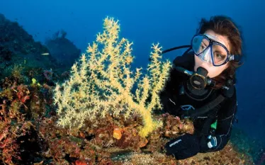aae-gloves-on-reef.jpg.webp