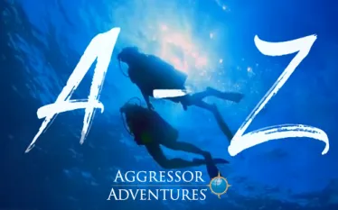 aggressor-az-video-teaser.jpeg.webp