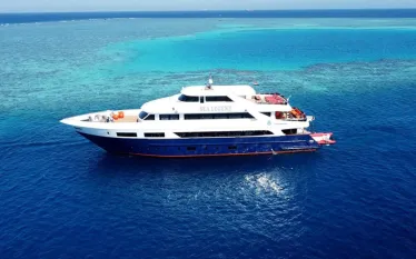 all_star_liveaboards_scuba_scene_article_images_x_image_.png.webp