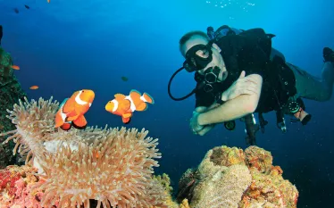 anemonefish.jpg.webp