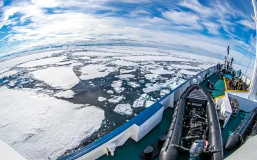 annie-crawley-arctic-diving-_edit.jpg.webp