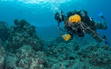 annie-crawley-clean-up-dive.jpg.webp