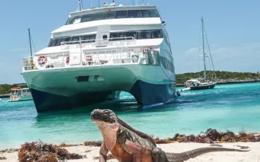 aq-off-allens-cay.scubadivingmagazine.november.jpg.webp