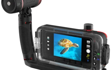 back-shot-sea-life-sport-diver-iphone-case.jpg.webp