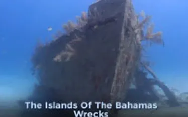 bahamas-wrecks-video.jpg.webp