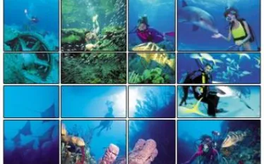 bahamas_tourism_picture.jpg.webp