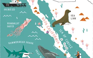 baja-california-scuba-magazine-map-scu.jpg.webp
