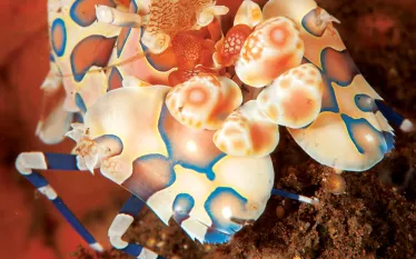 bali-lombok-.jpg.webp