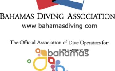 bda_color_logo-mot.png.webp