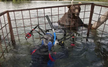 bearcage_.jpg.webp