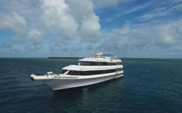 belize_iv_yacht_gray_hull.jpg.webp