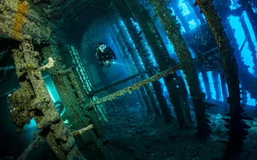 below_surface_tobias_friedrich__i__edit.jpg.webp