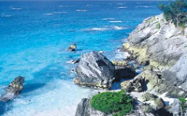 bermuda_.jpg.webp