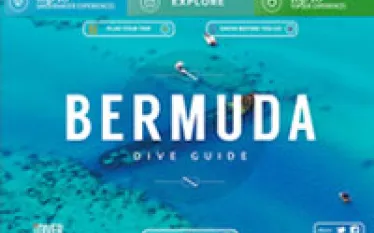 bermudadiveguide_x.jpg.webp