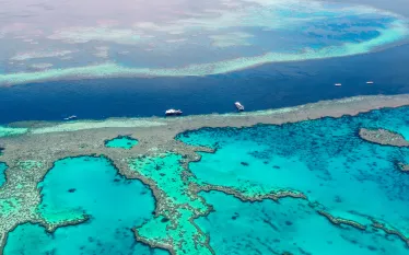 best-australia-diving-.jpg.webp