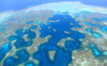 best-diving-western-australia-abrolhos-island-shutterstock_.jpg.webp