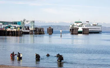 best_urban_night_dives_seattle_teaser.jpg.webp