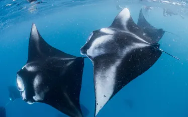 best_year_end_travel_teaser_.jpg.webp