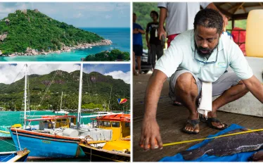 blue_bonds_hero.png.webp
