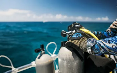 bn-l-sport-diver-_edit.jpg.webp