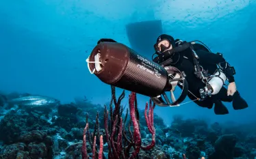 bonaire_dsc__edit.jpg.webp