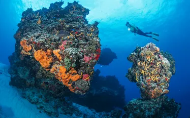 brandon_cole.scubadivingmagazine.augustjpg.jpg.webp