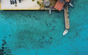 buddy-dive-aerial-lorenzo-mittiga.jpg.webp