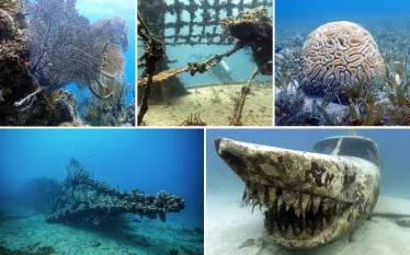 bvi_wrecks_.png.webp