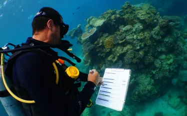 cairns-reef-survey-courtesy-quicksilver-cruises.jpg.webp