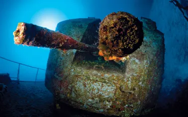 cayman_.jpg.webp