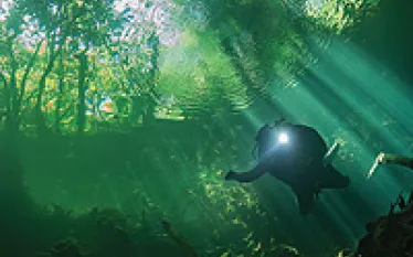 cenote-scuba-dving-thumb.jpg.webp