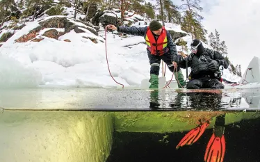 cold-water-diving.jpg.webp